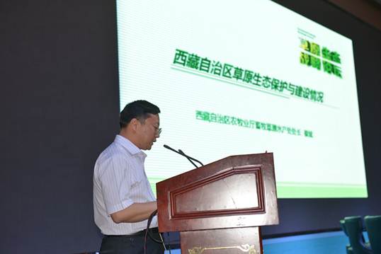 逐梦国际官方网站图片