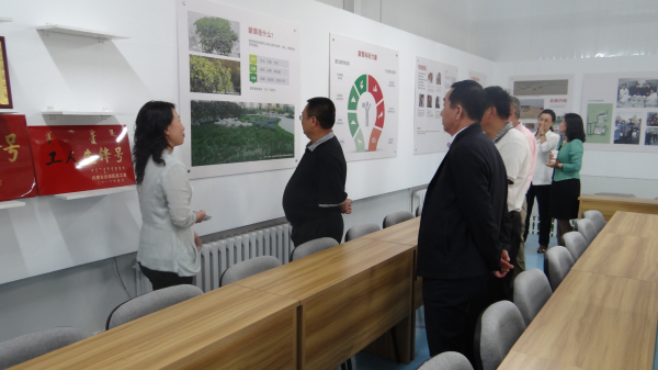 逐梦国际官方网站图片