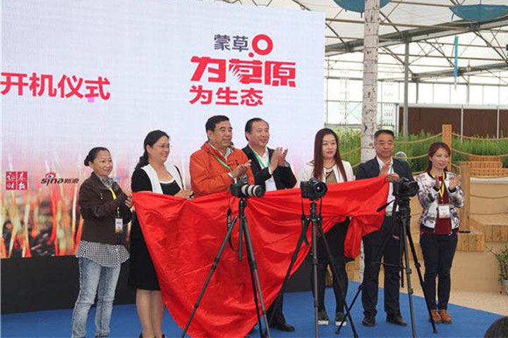 逐梦国际官方网站图片