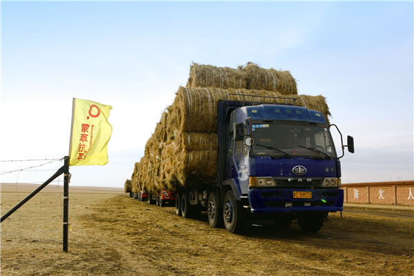 逐梦国际 b056b
