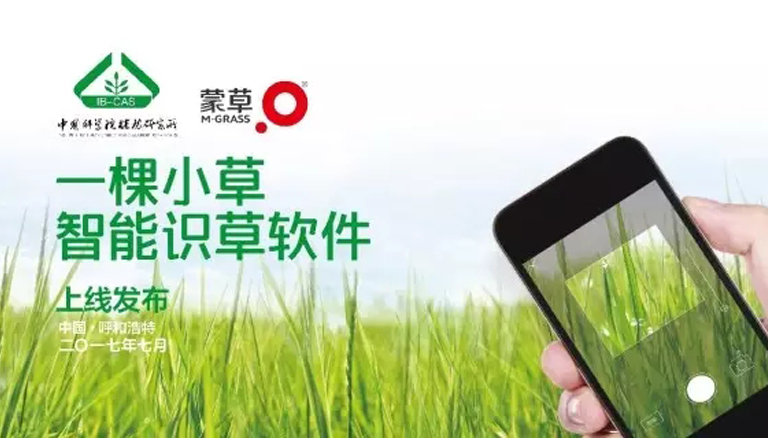逐梦国际 49c61