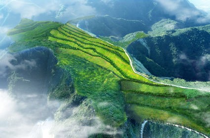 逐梦国际 04464