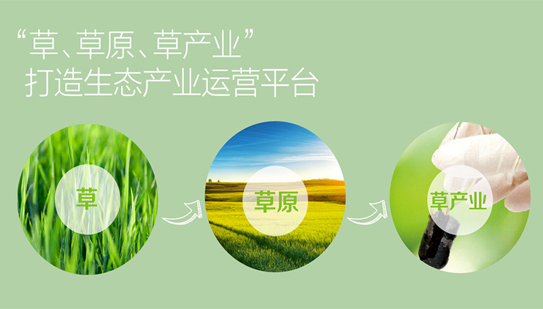 逐梦国际 7c6b5