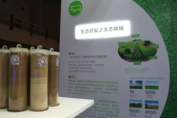 逐梦国际官方网站图片