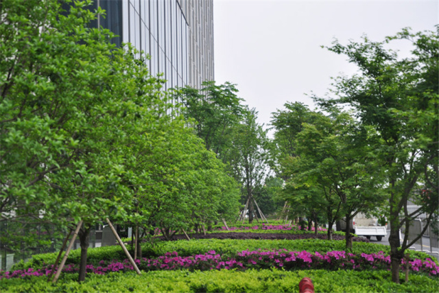 逐梦国际 223b1