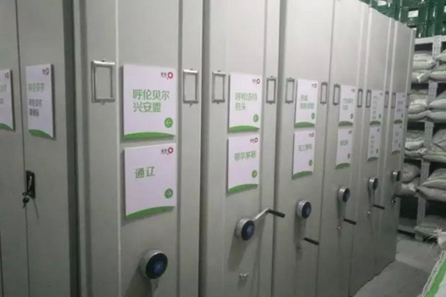 逐梦国际 031be
