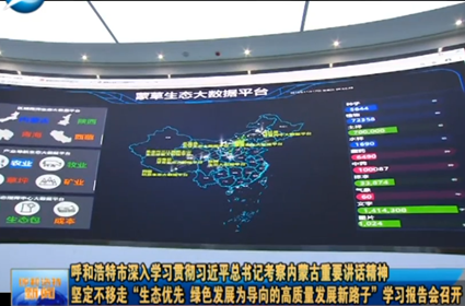 逐梦国际 11eab