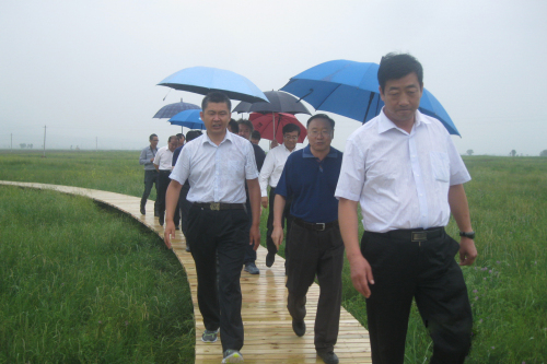 逐梦国际官方网站图片