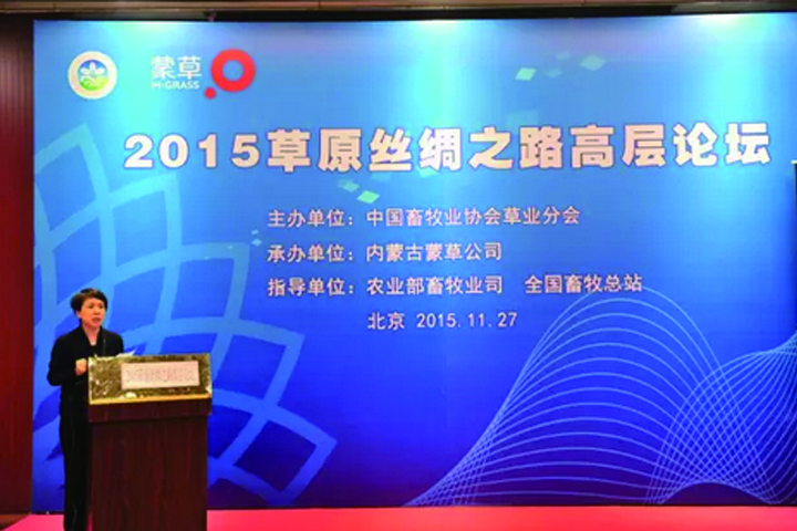 逐梦国际官方网站图片