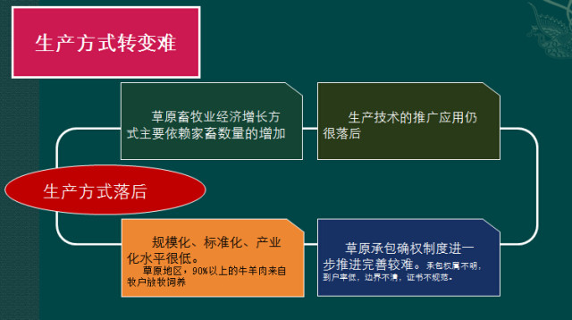 逐梦国际官方网站图片