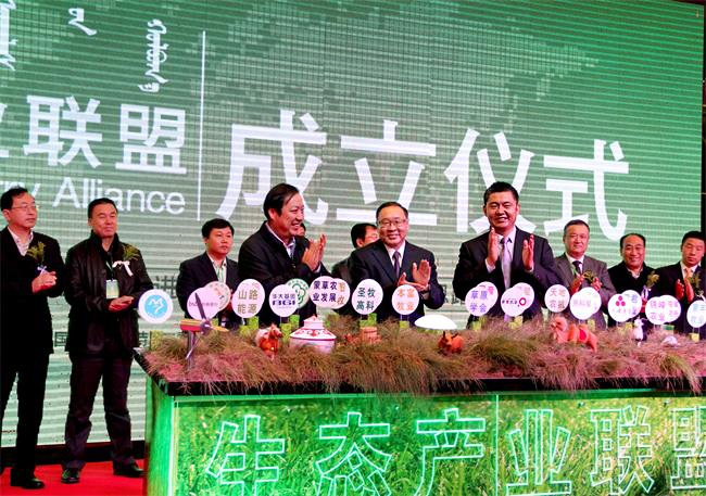 逐梦国际官方网站图片